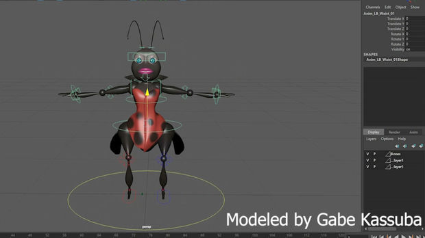 LadyBug Rig